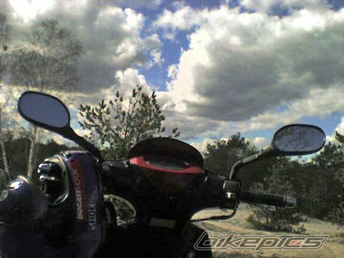 Photo 921219