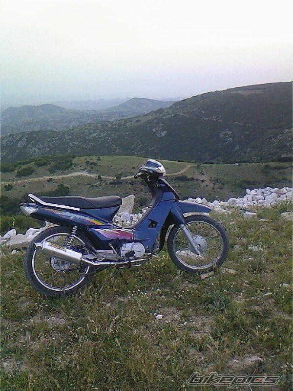 Photo 921245