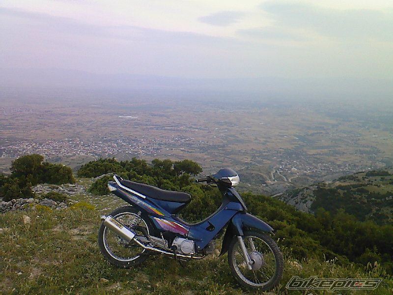 Photo 921255
