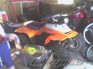 Photo 921375