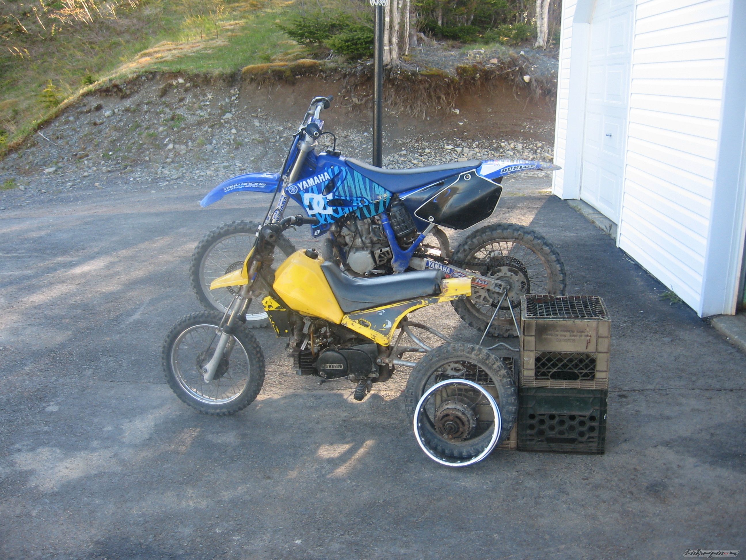 Photo 921385