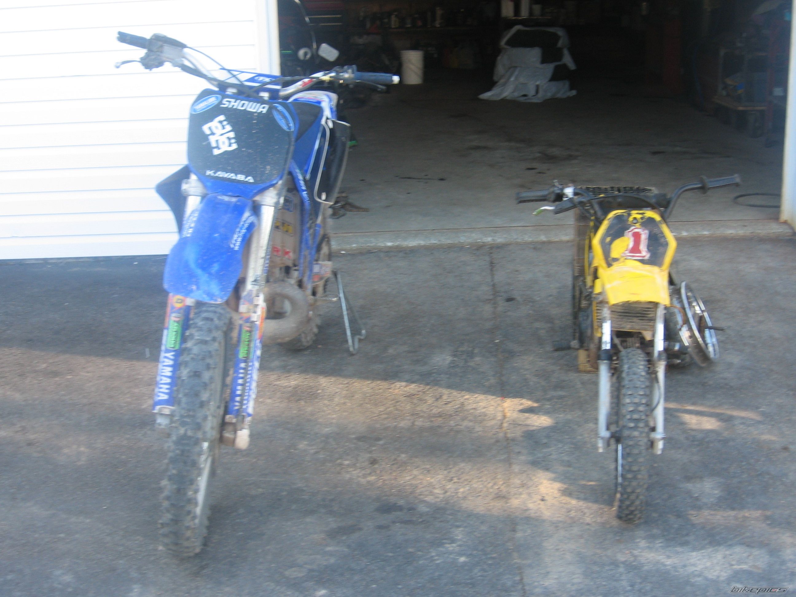 Photo 921388