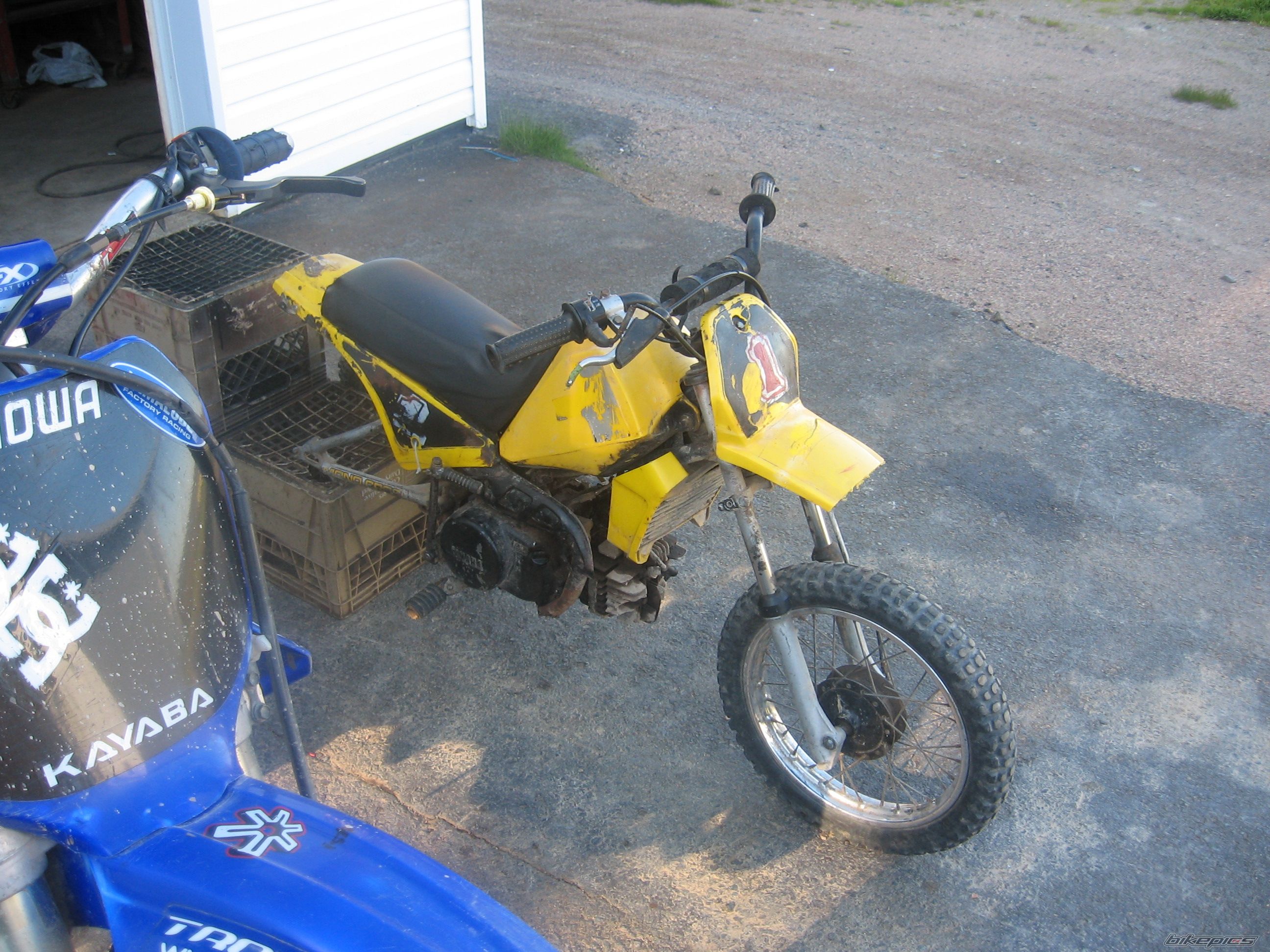 Photo 921402