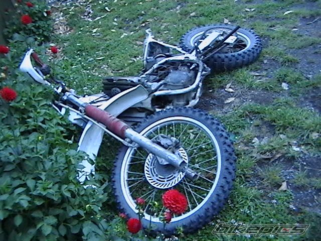 Photo 921620