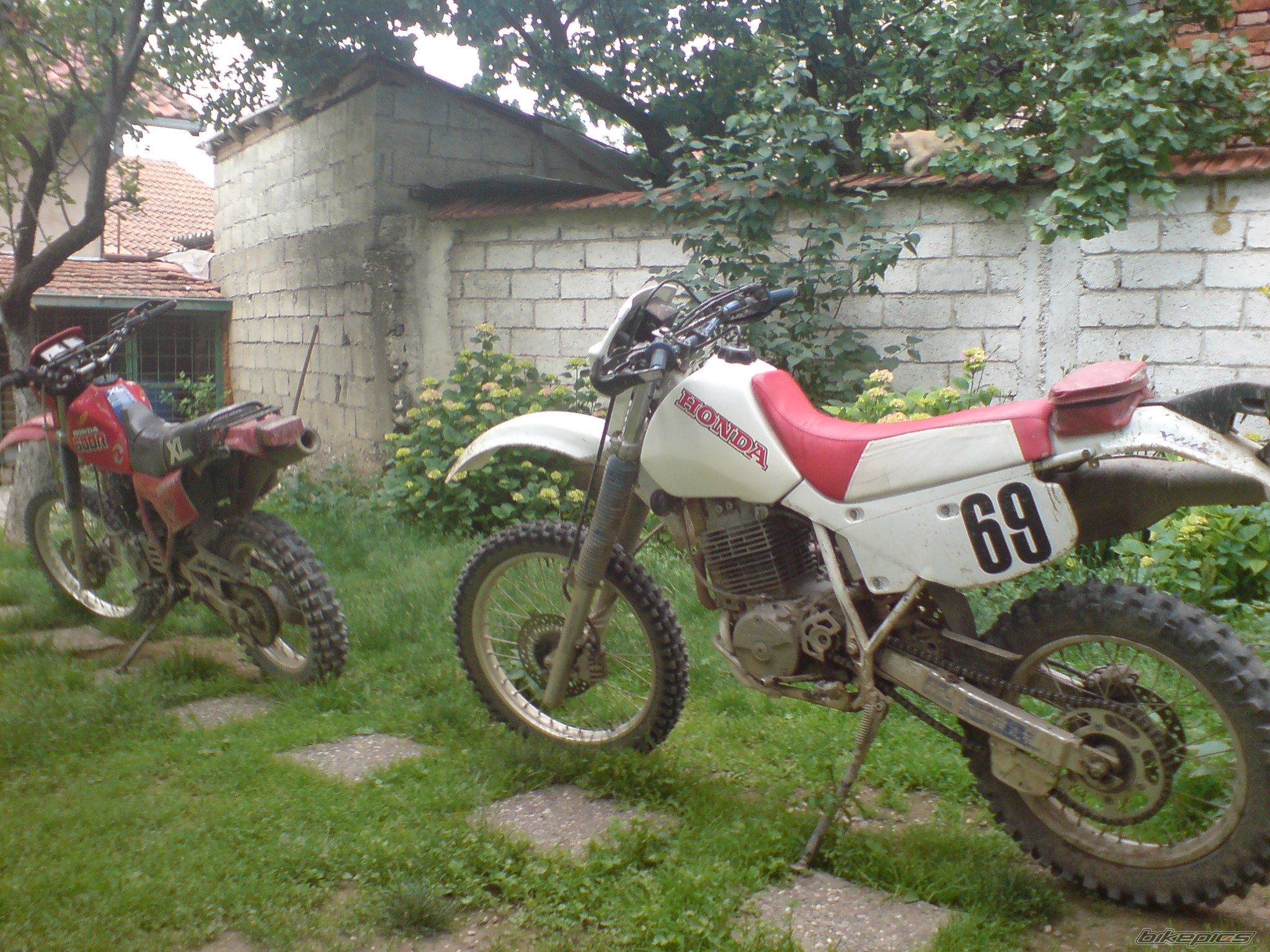Bike Photo 921788