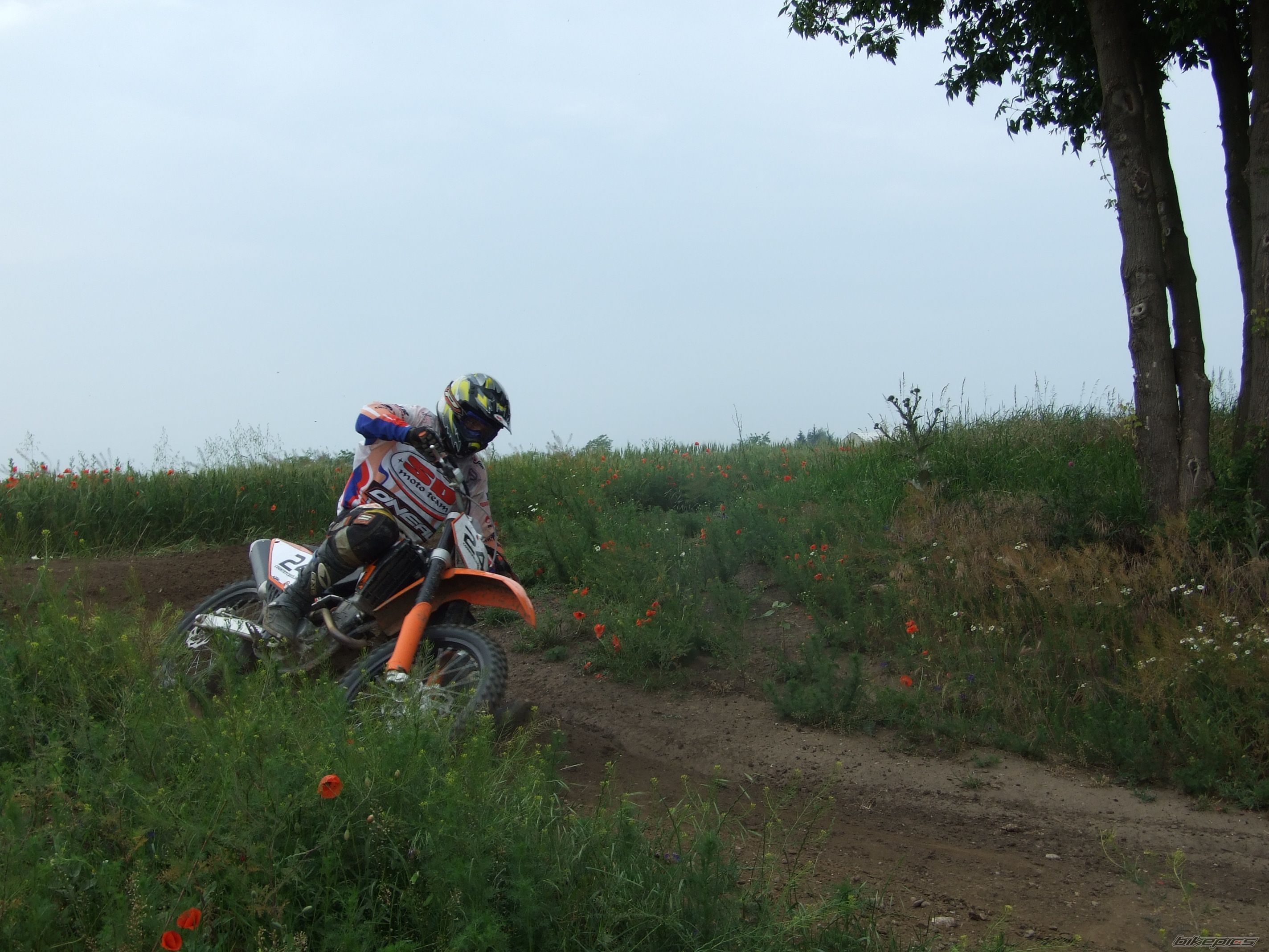 Photo 921793