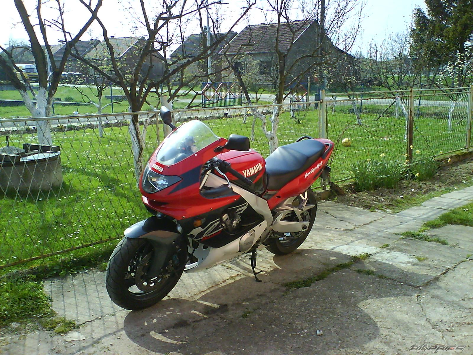 Photo 921825