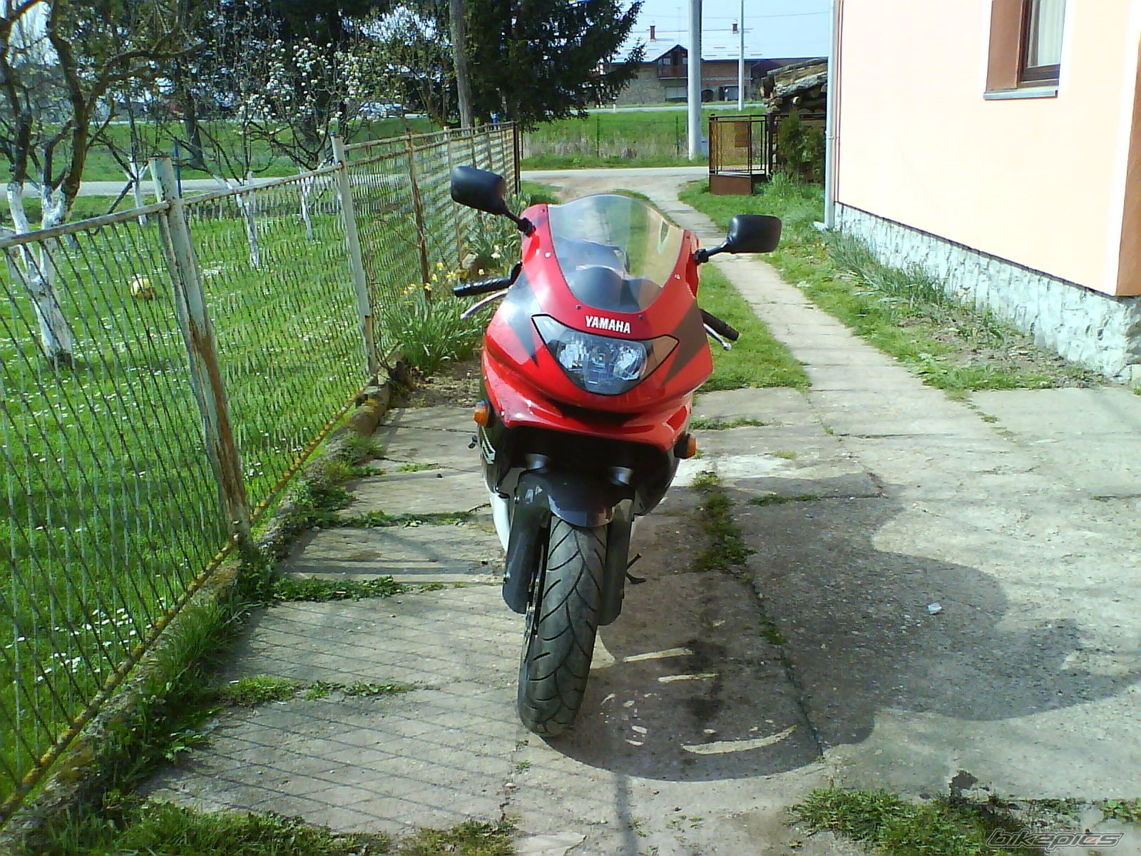 Photo 921828