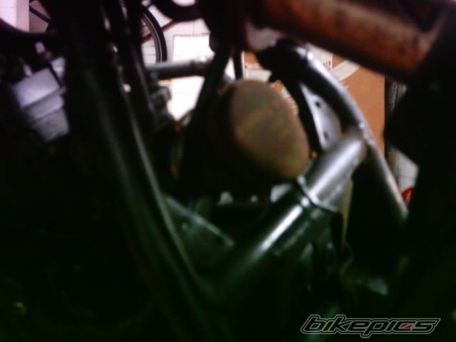 Photo 922408