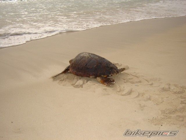 Bike Photo 922450