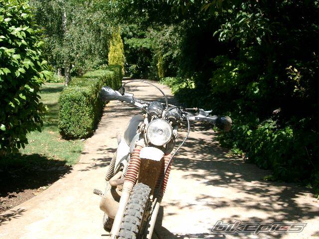 Photo 92277