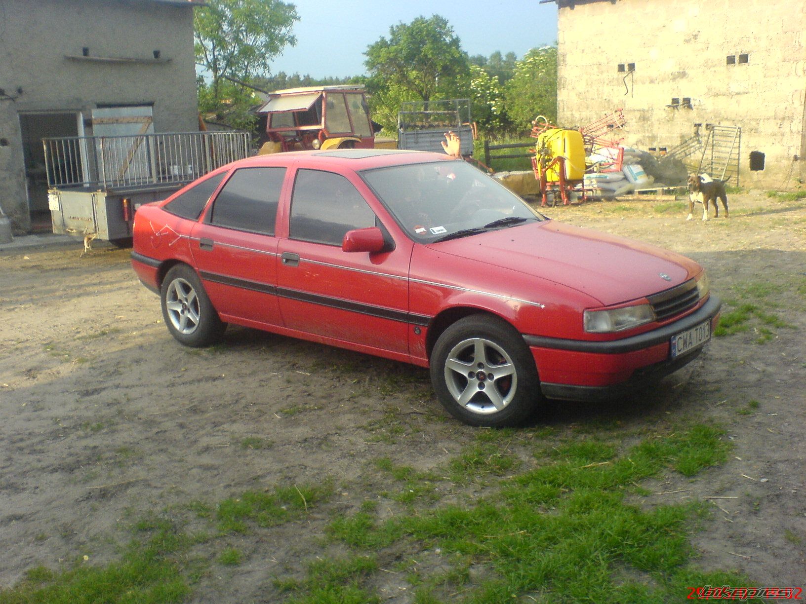 Photo 922898