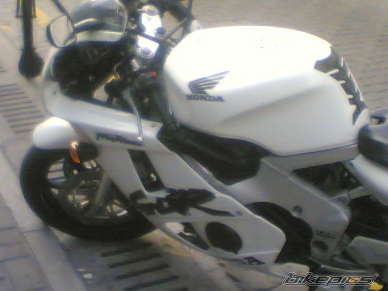 Photo 923090