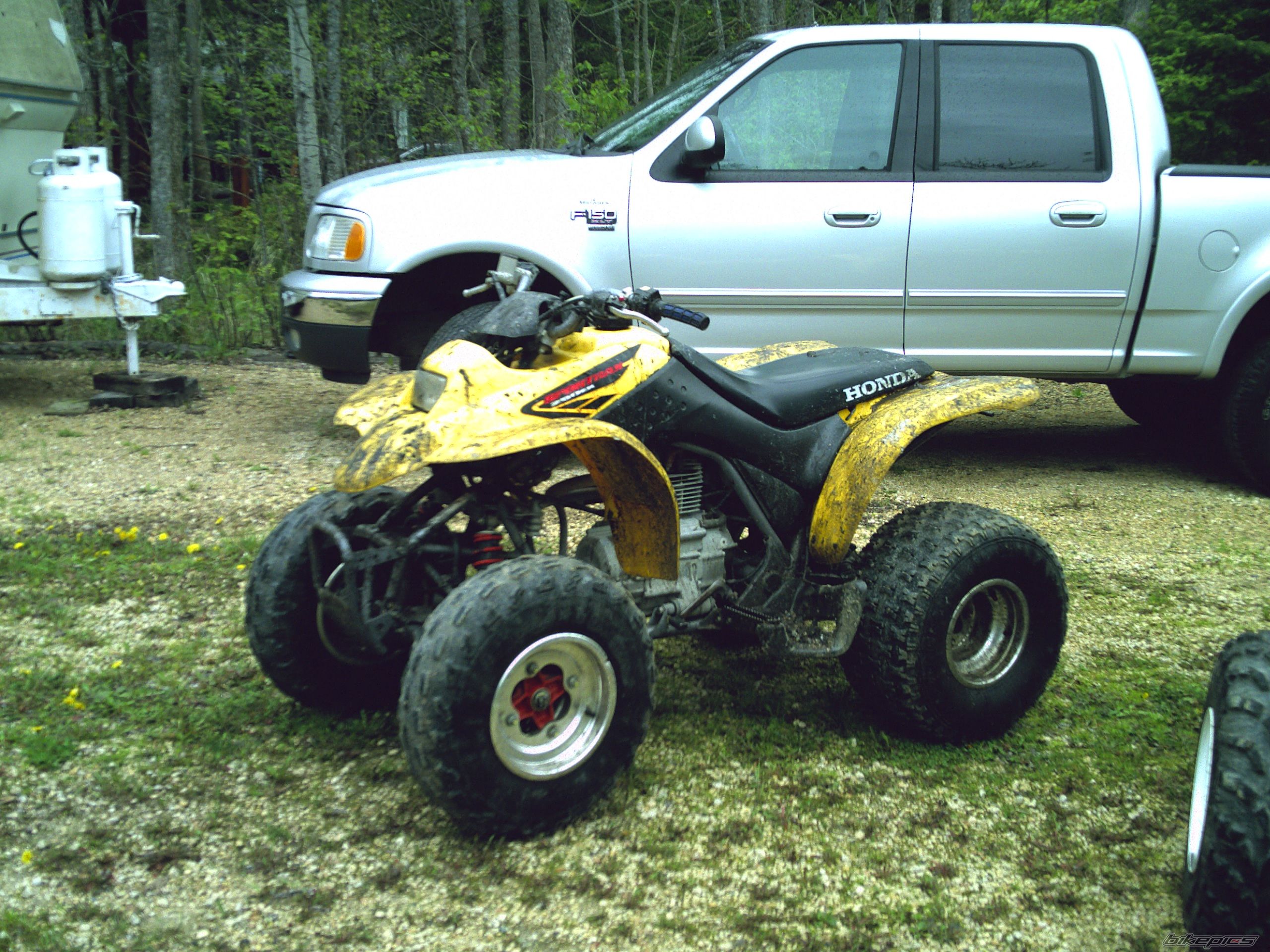 Photo 923390