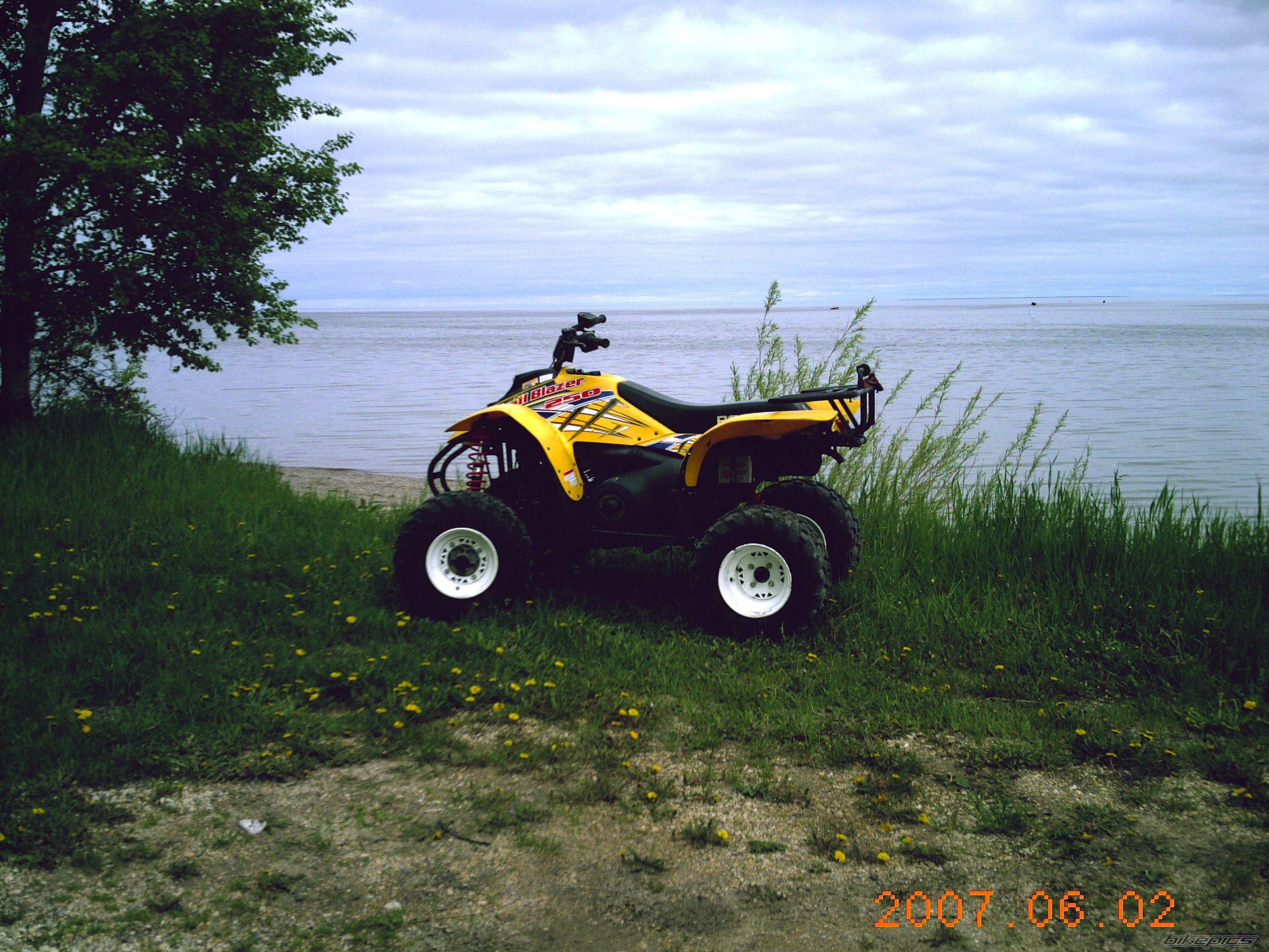 Photo 923398