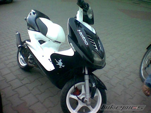 Photo 923630