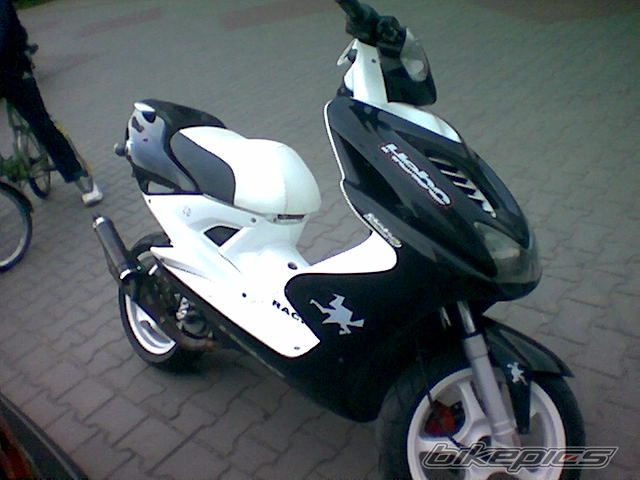 Photo 923642
