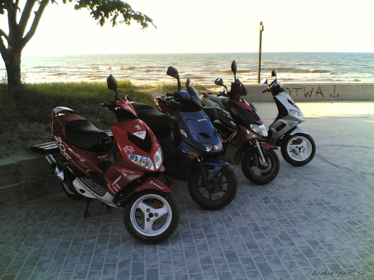 Photo 923694