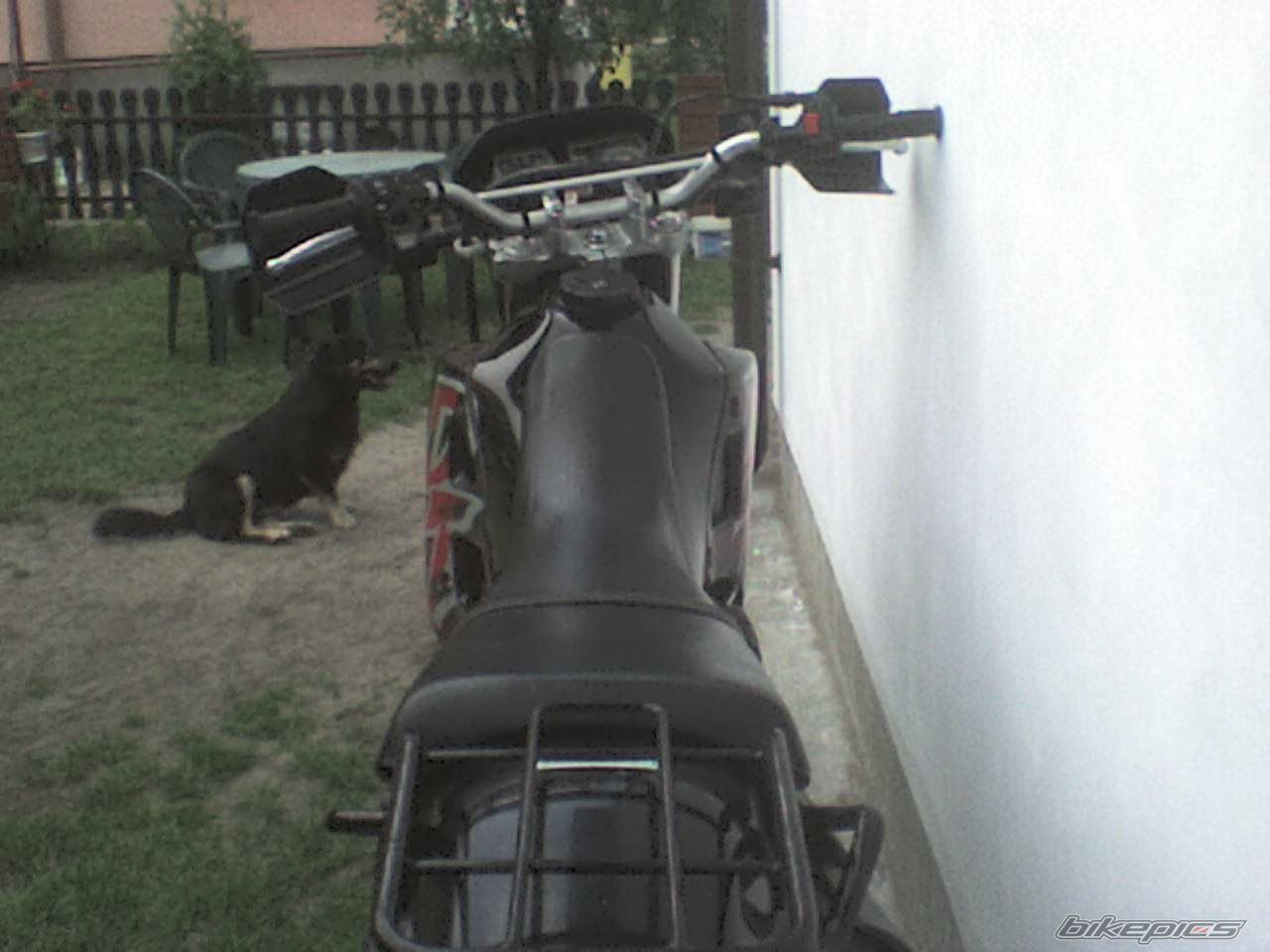 Photo 923839