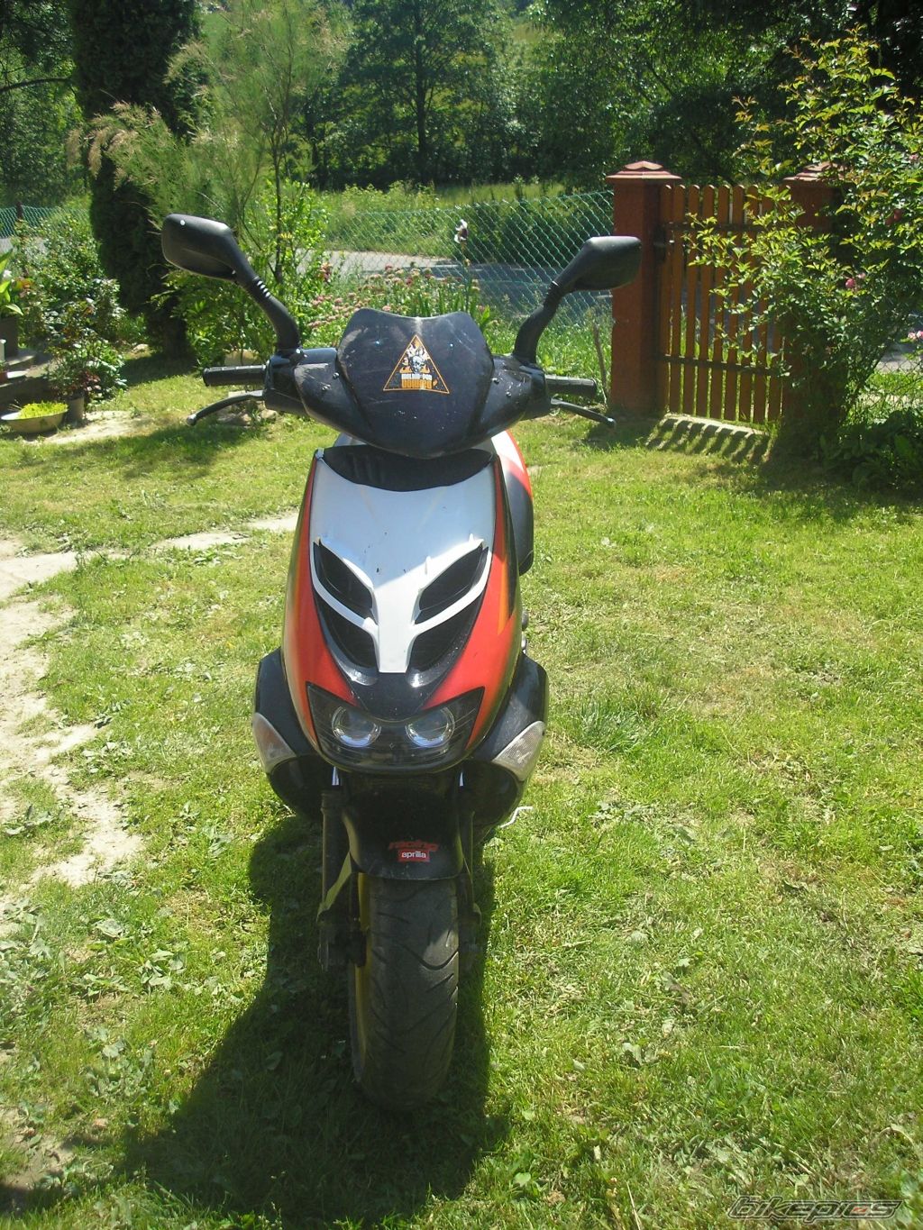 Bike Photo 923854