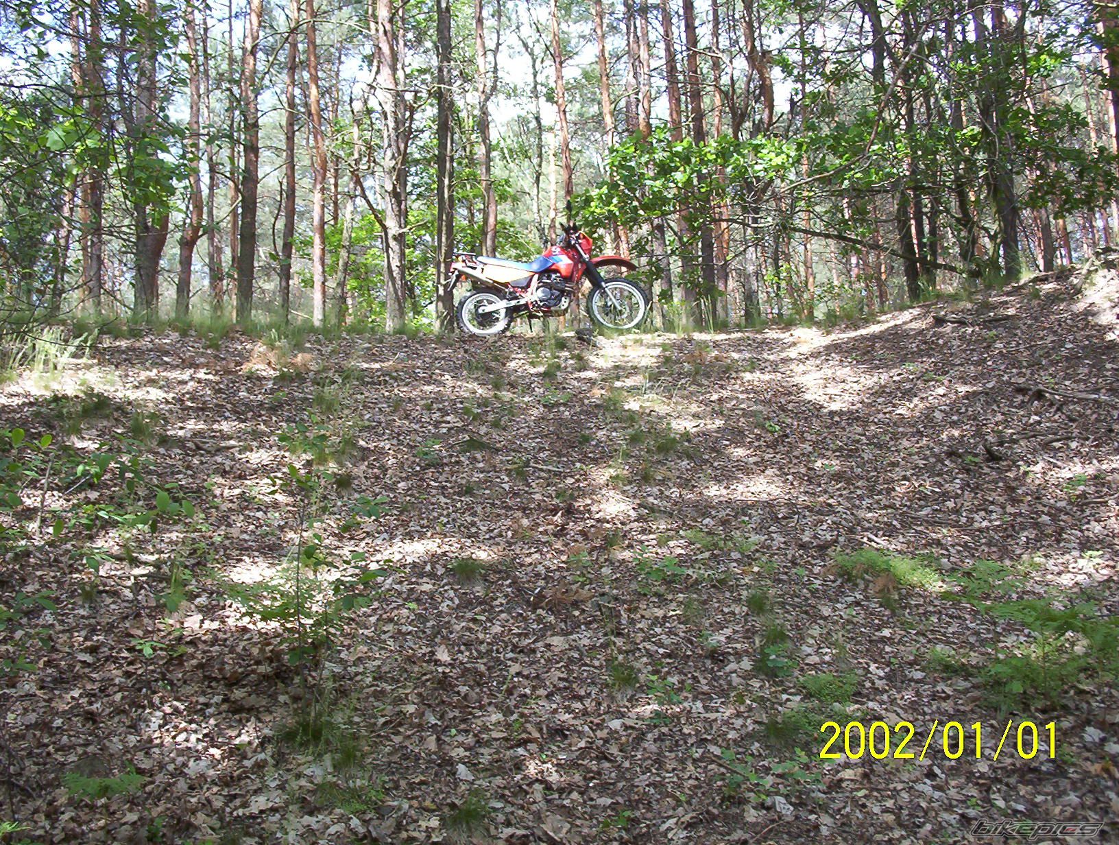 Photo 923915