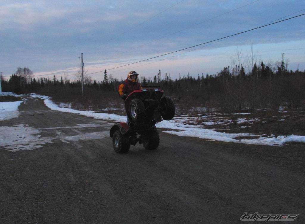 Photo 92392