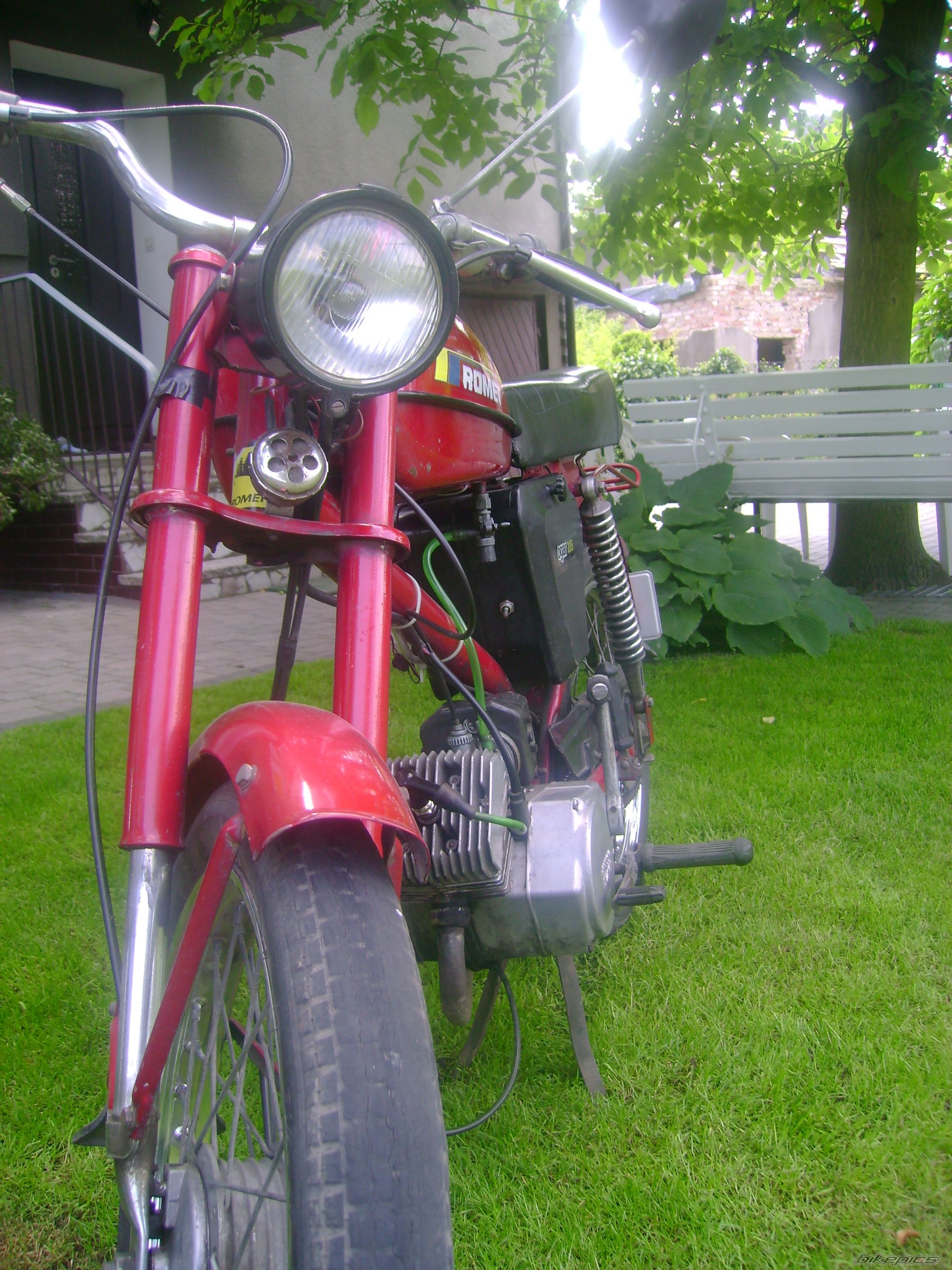Photo 923923