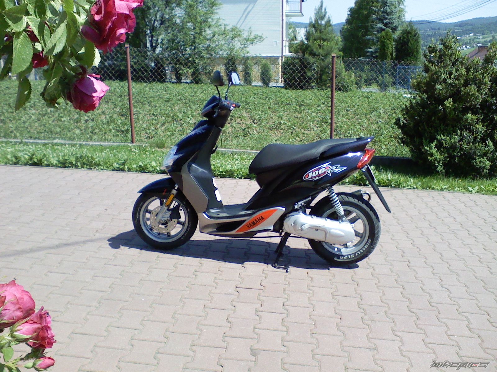 Photo 923928