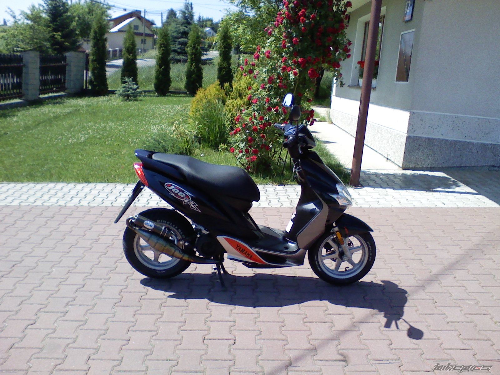 Photo 923933