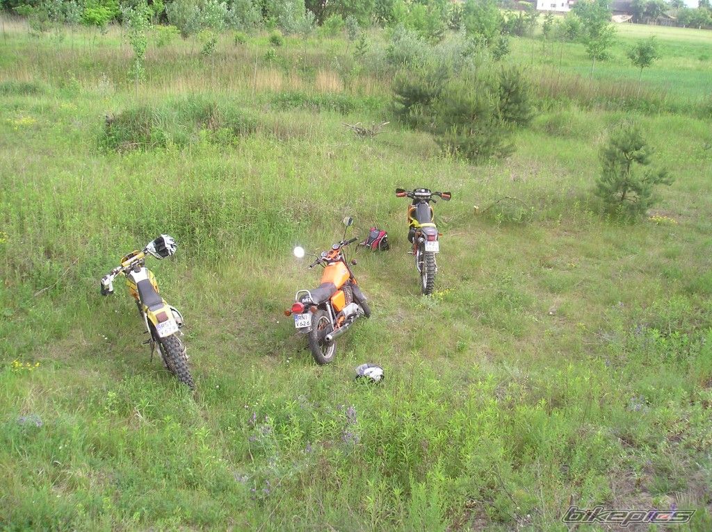 Photo 923961