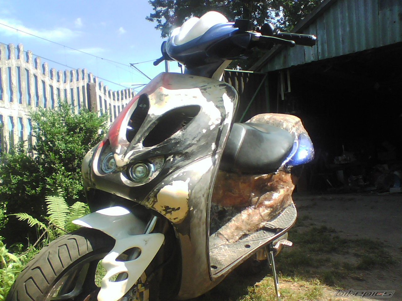 Photo 924100