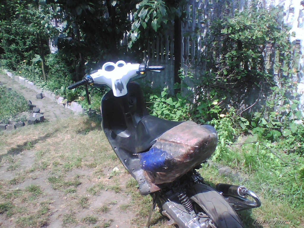 Photo 924103
