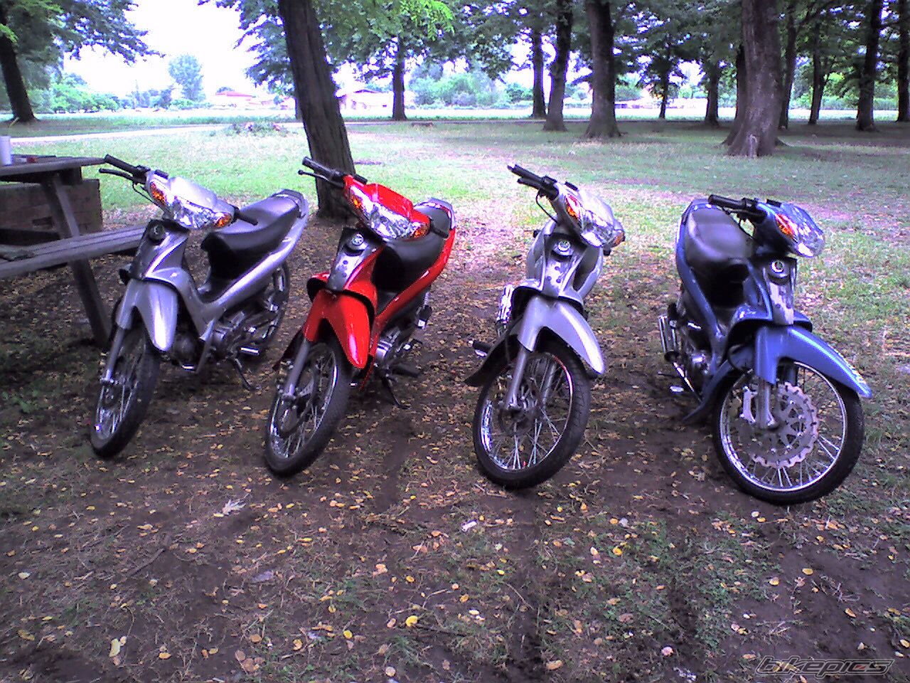 Photo 924166