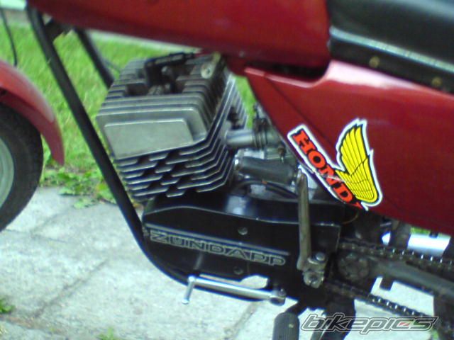Photo 924232