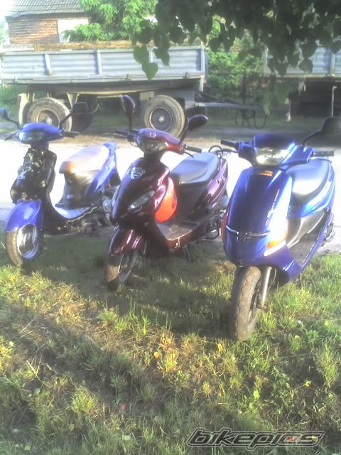 Photo 924397
