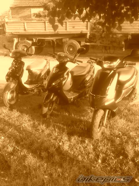 Photo 924402