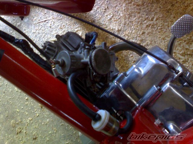 Photo 925271