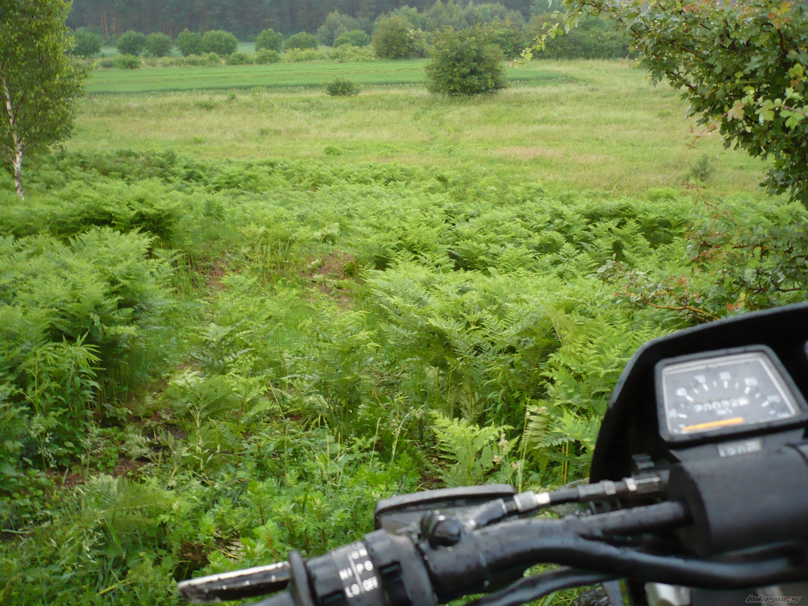 Bike Photo 925505