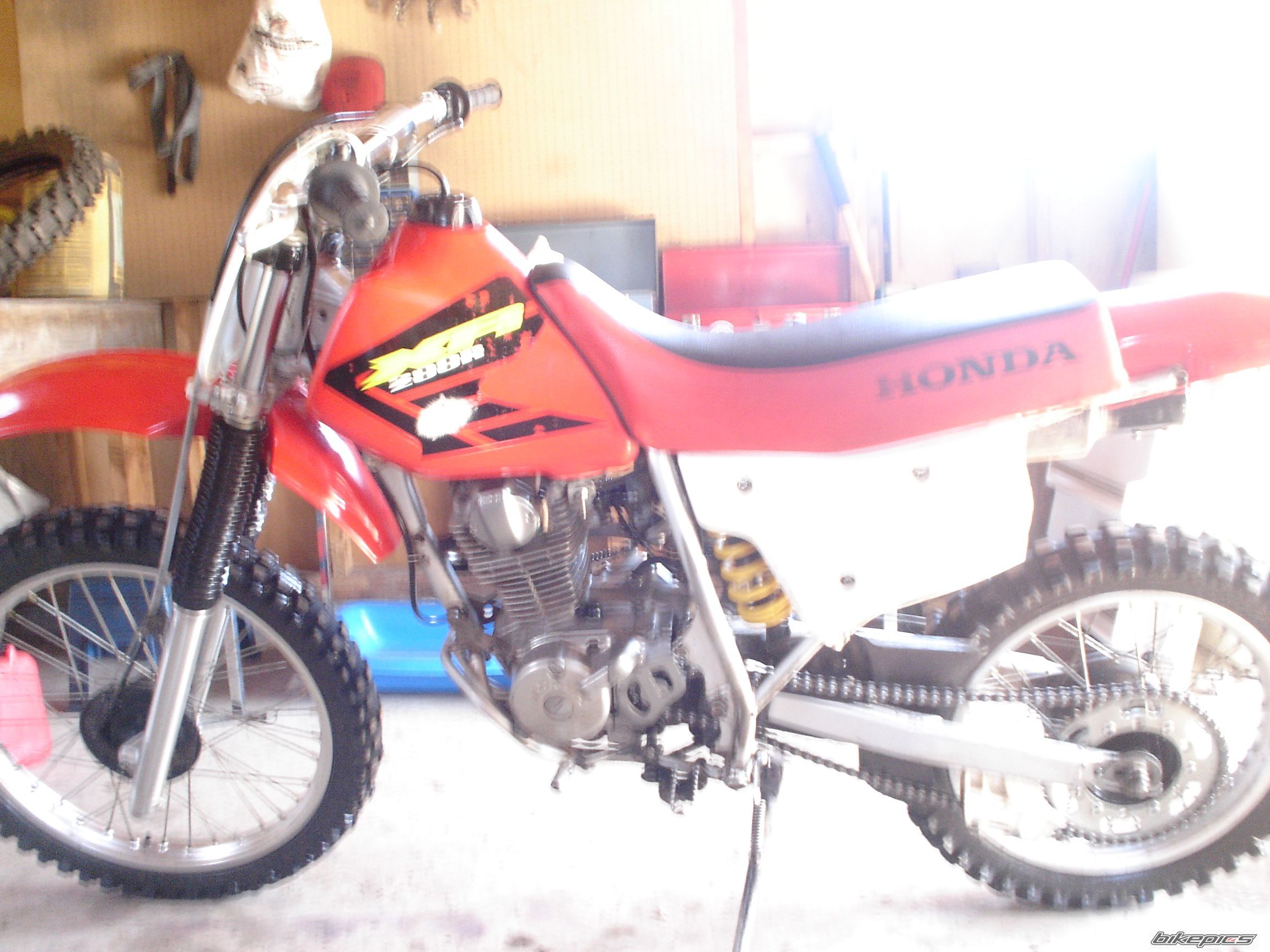 Bike Photo 925648