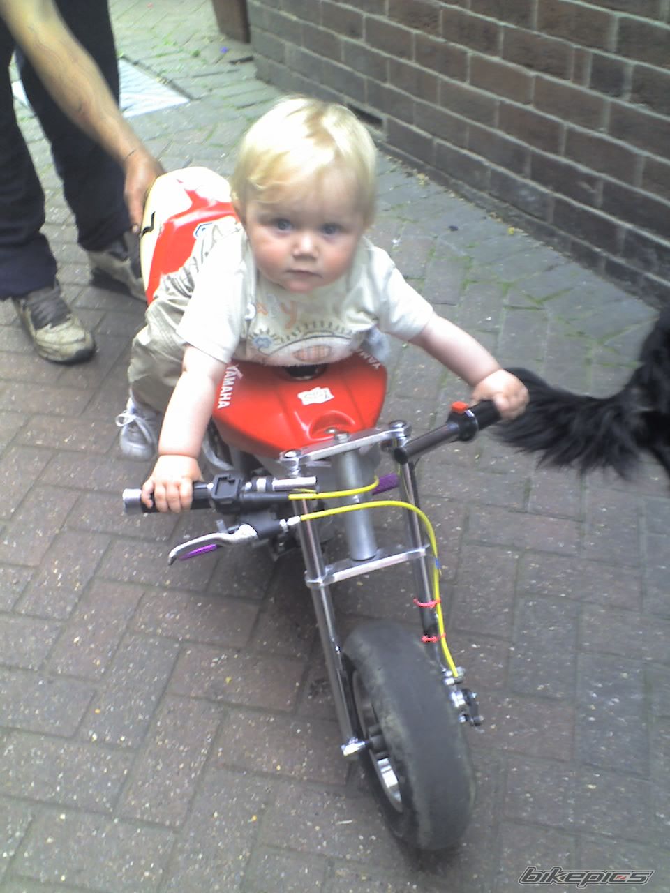 Photo 926327