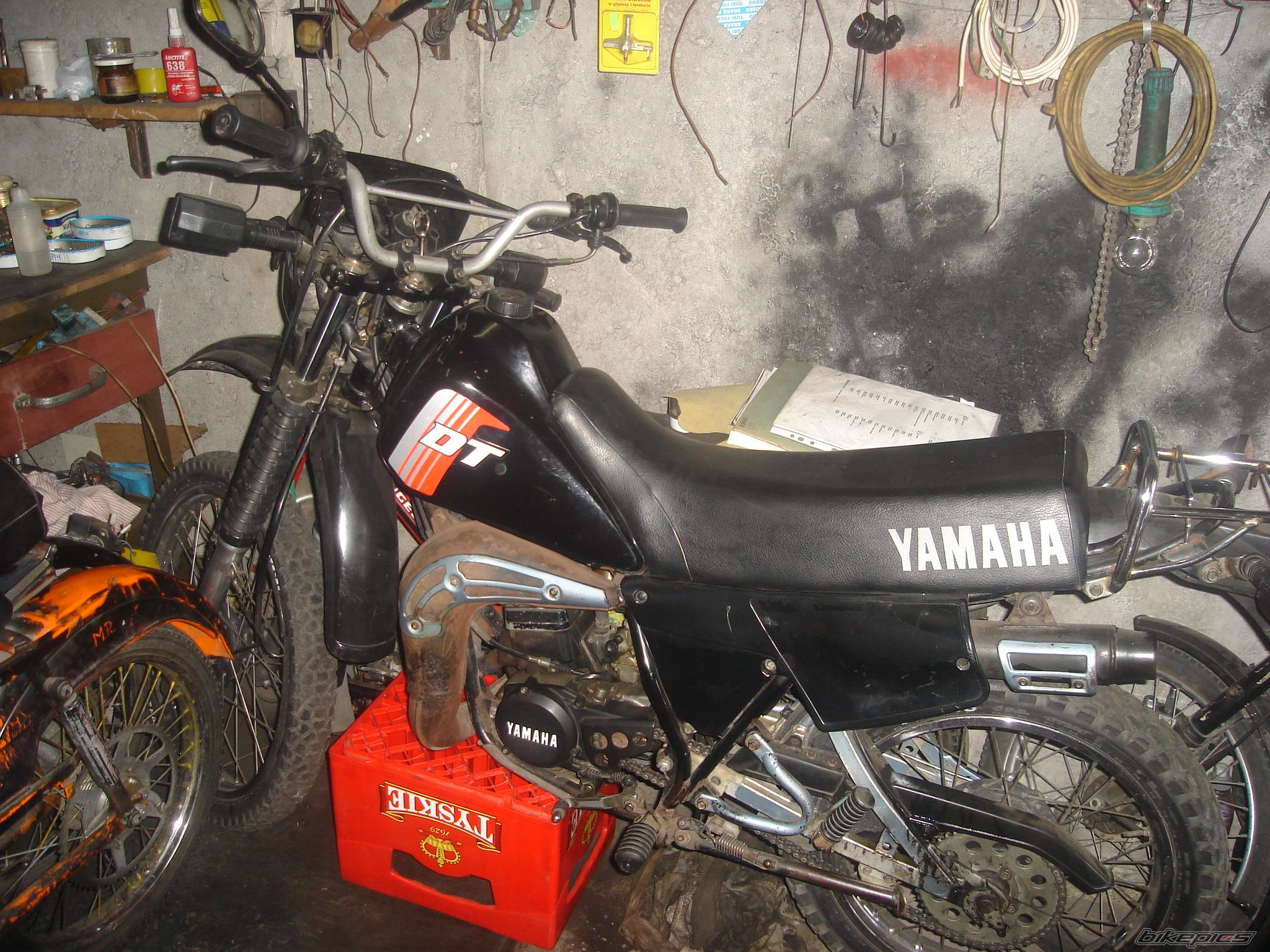 Photo 926332