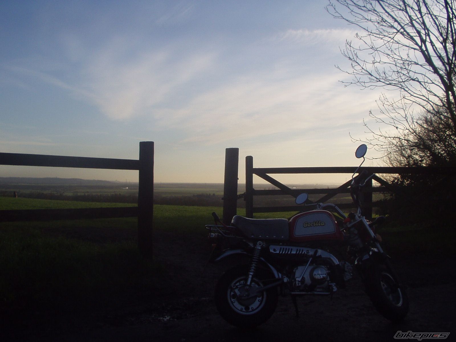 Photo 926344