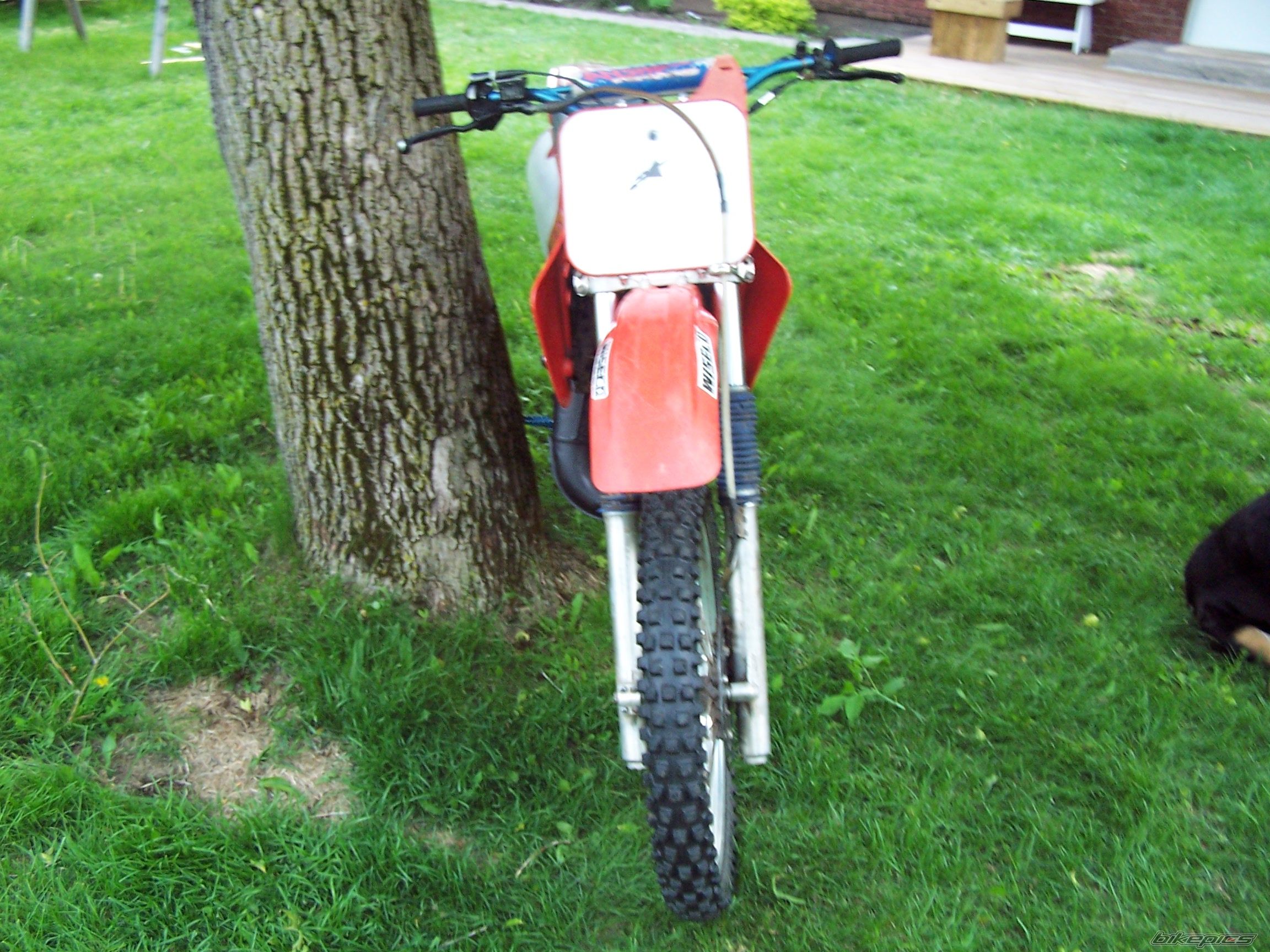 Photo 926556