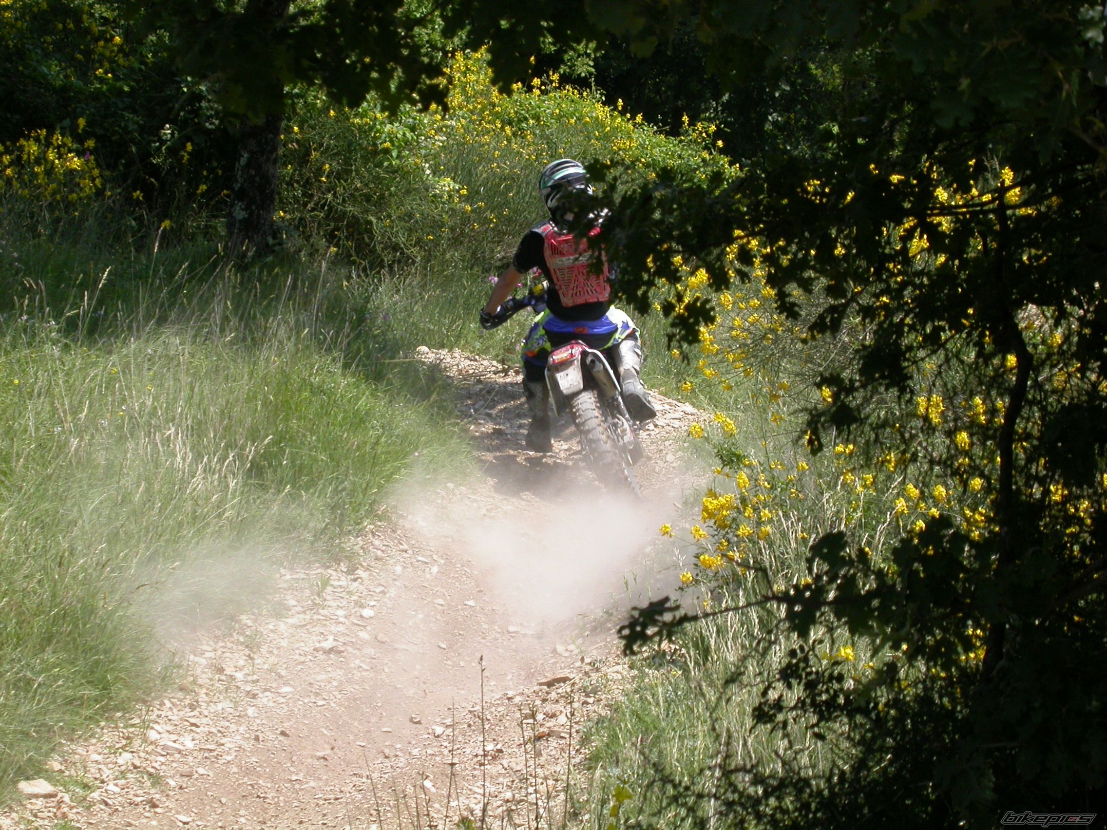 Bike Photo 927042