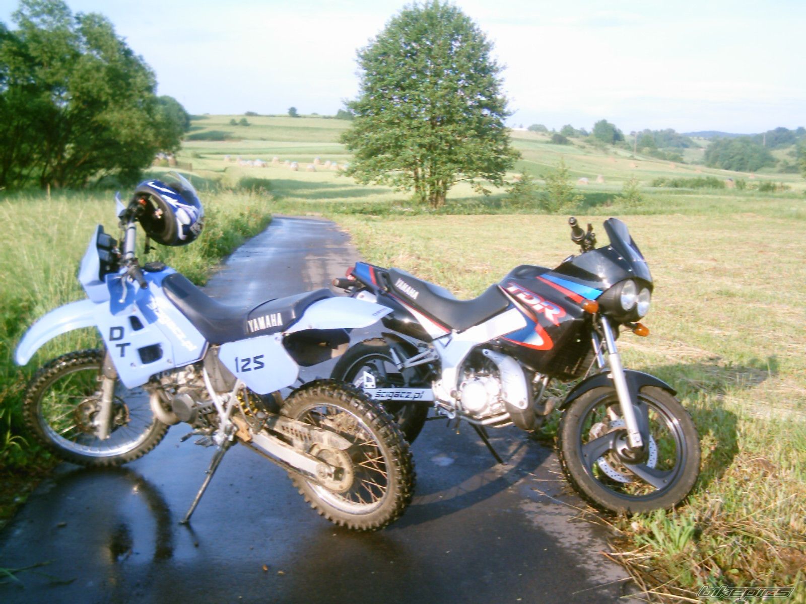Photo 927153