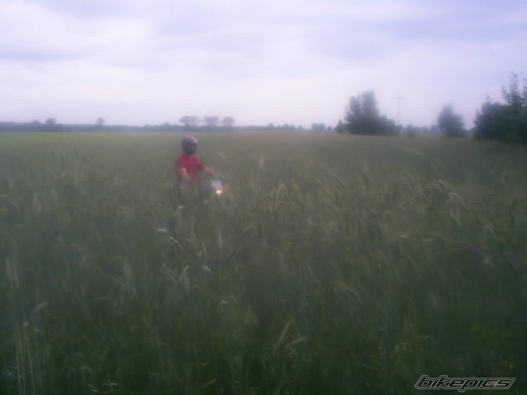 Photo 927161