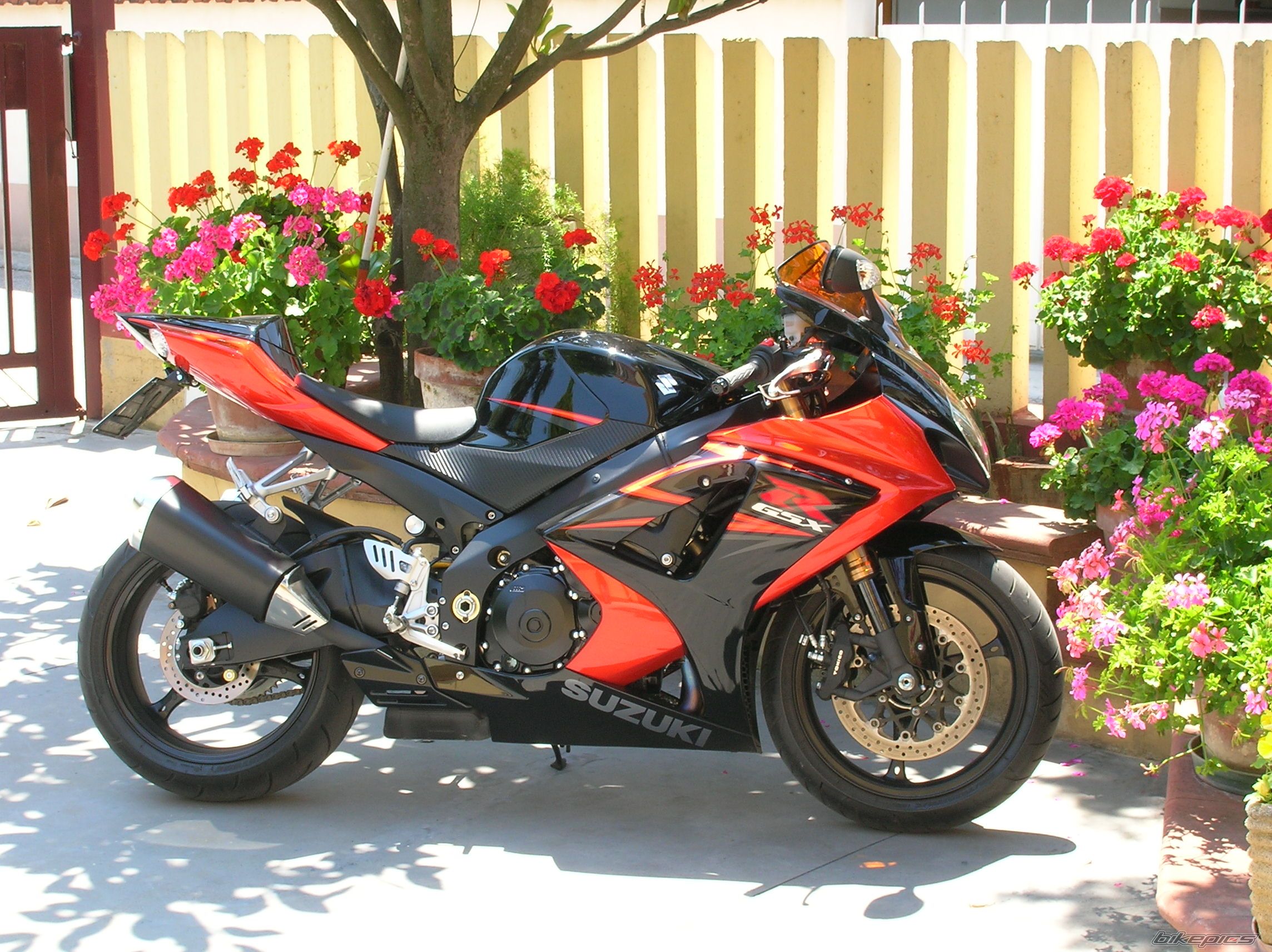 Bike Photo 927420