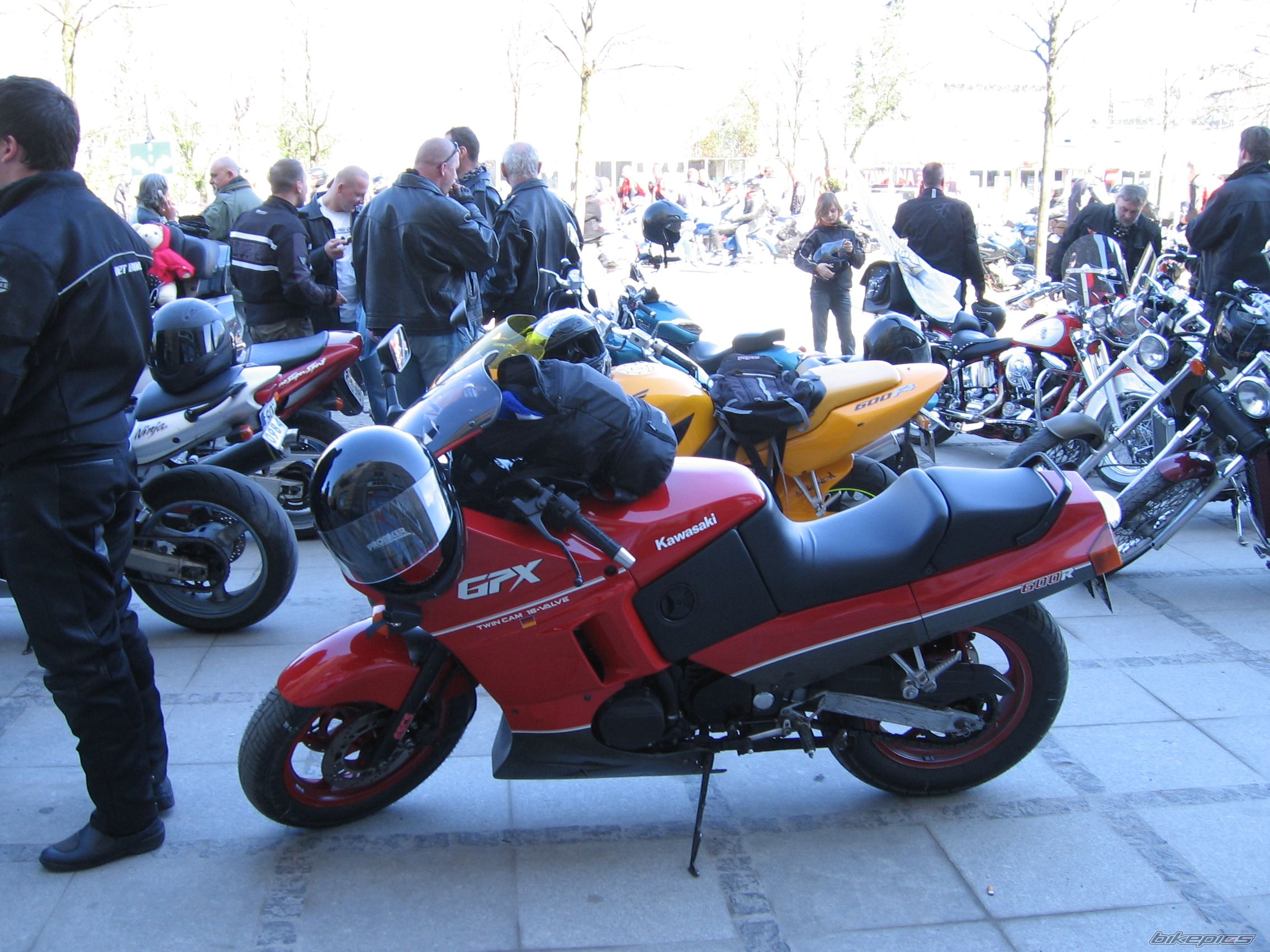Photo 928115