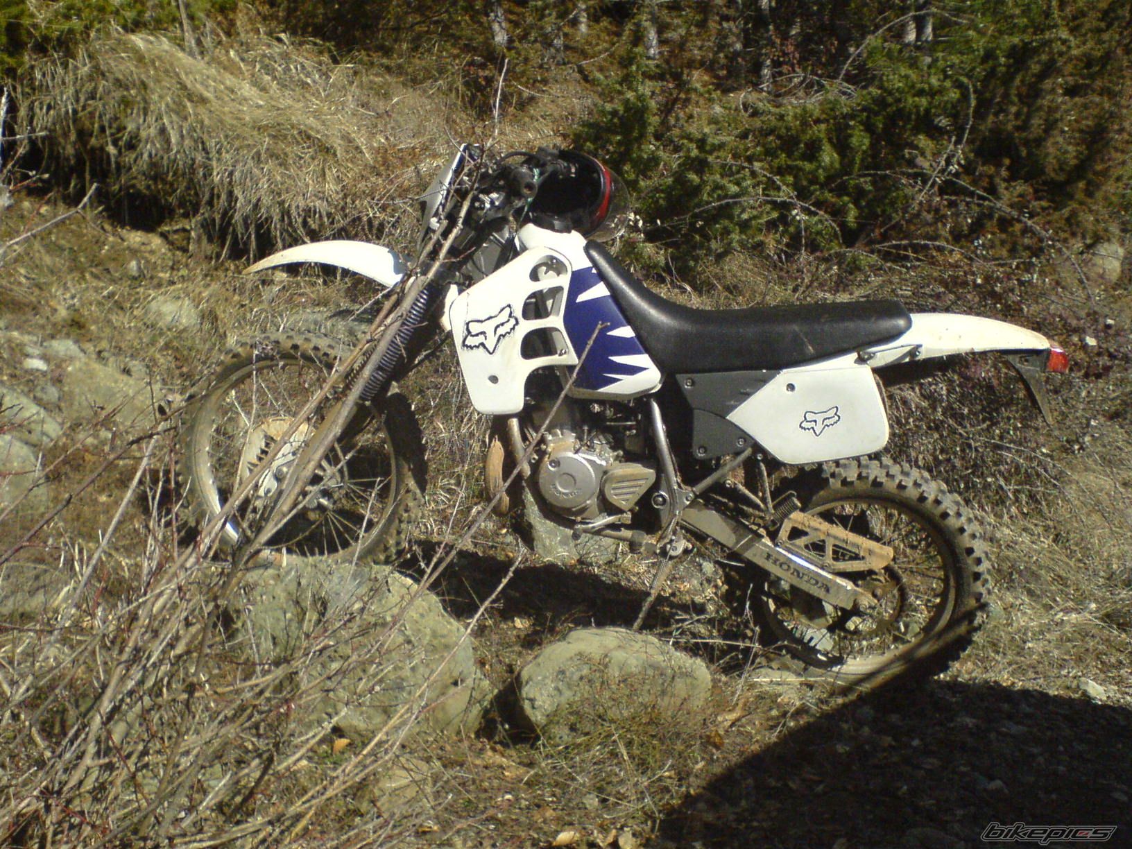 Bike Photo 928332