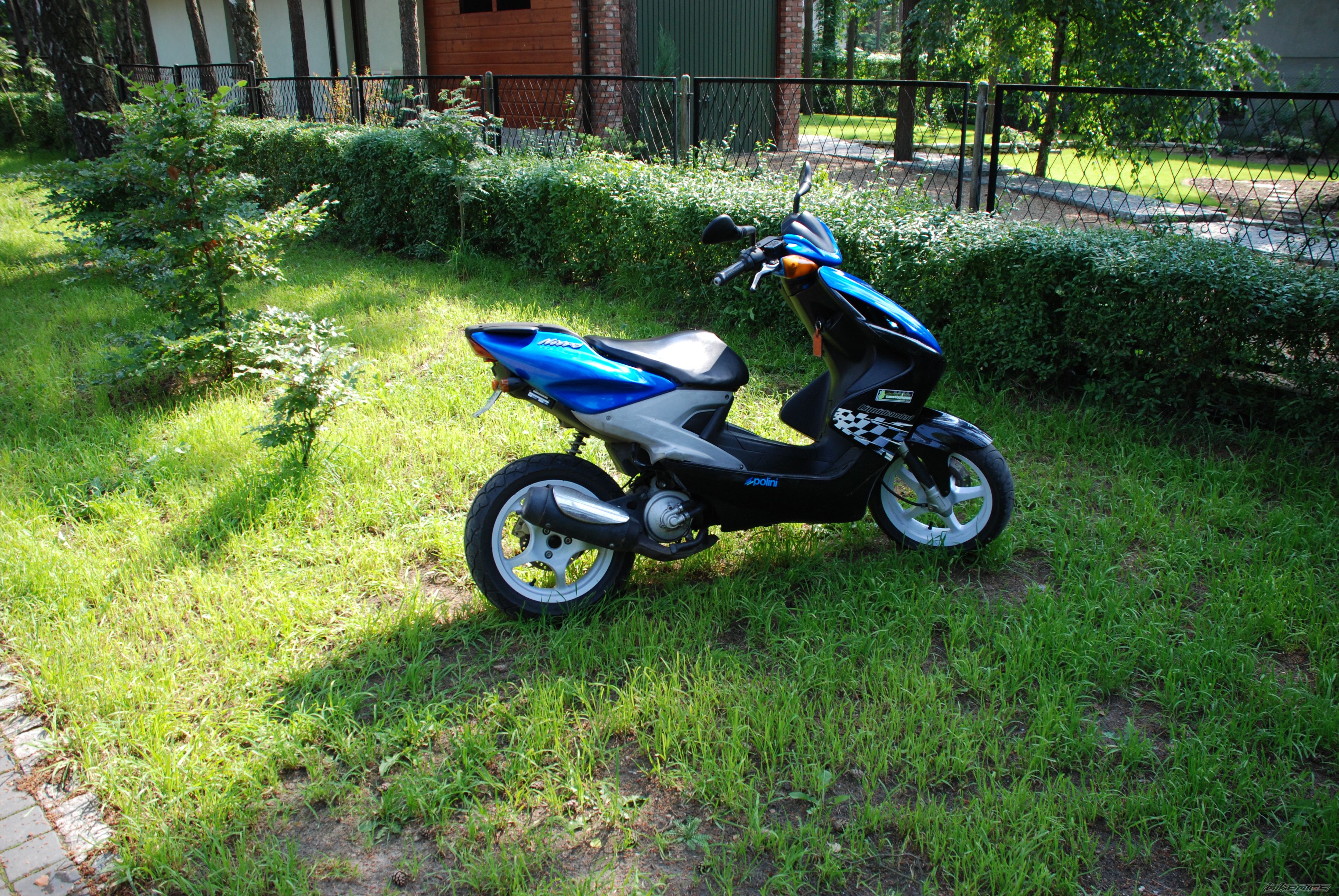 Photo 928418